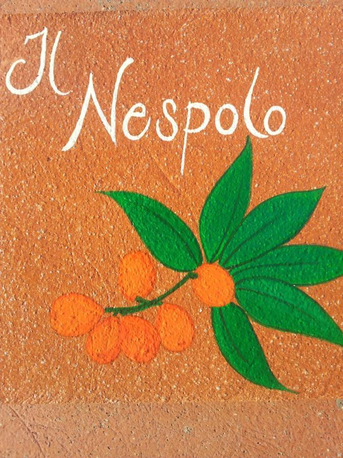 Appartamento Il Nespolo Pomonte Eksteriør billede